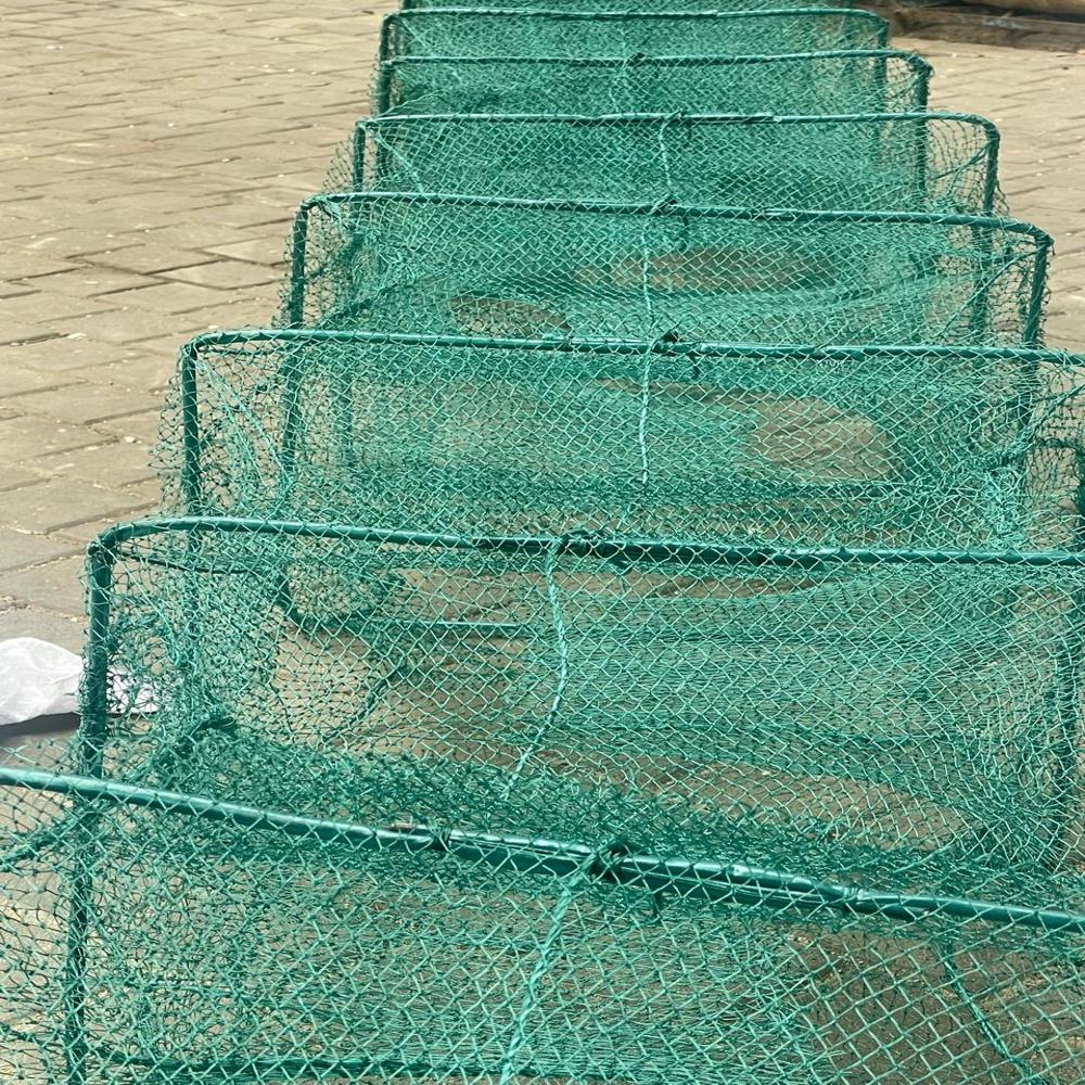China Ring Fishing Net