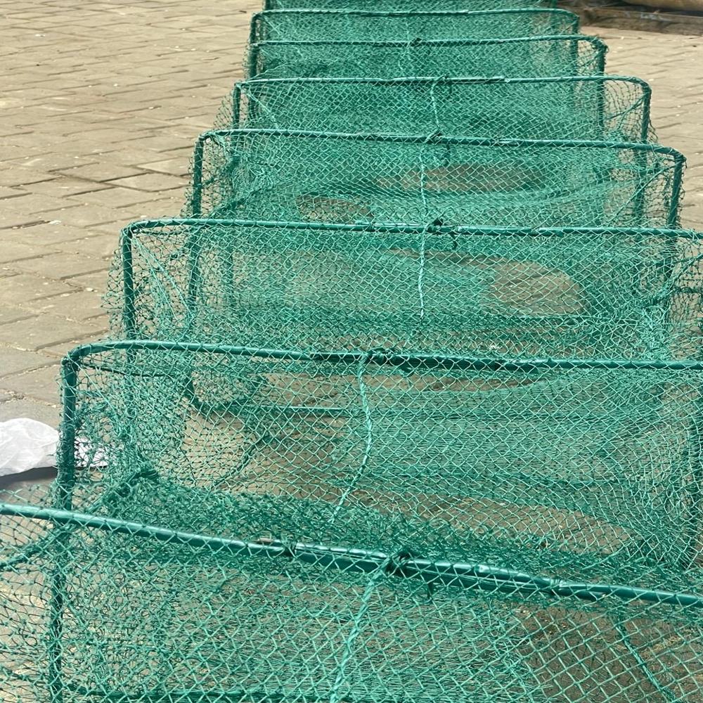China Ring Fishing Net