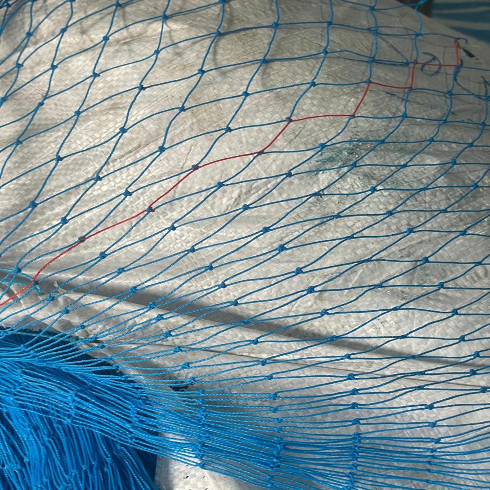 9ply-60 Mm -50 Md - Color: Blue
