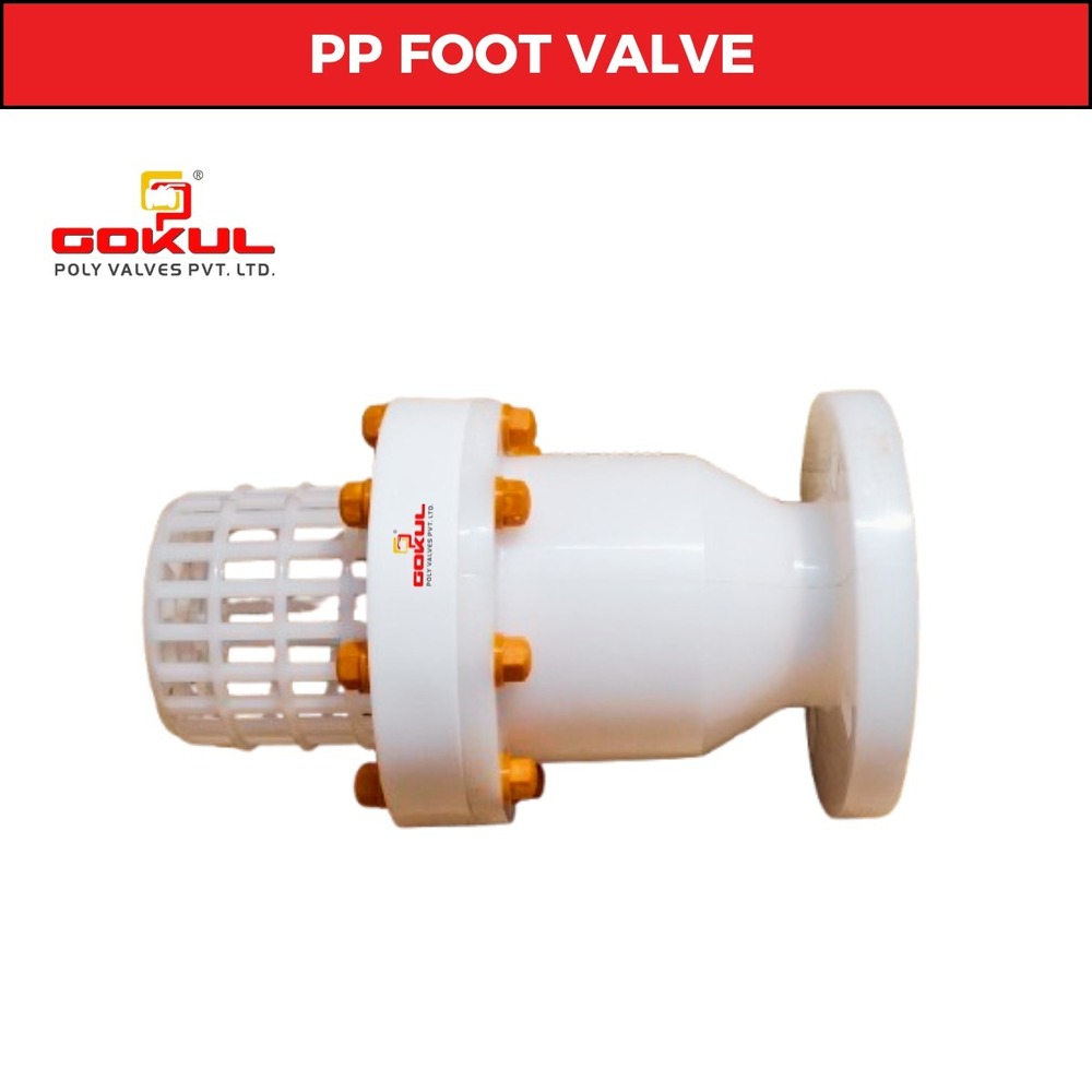 polypropylene Foot Valve Flange Type