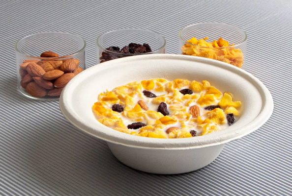 Bagasse Bowl 230ml