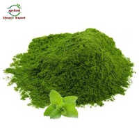 Dehydrated Mint Powder