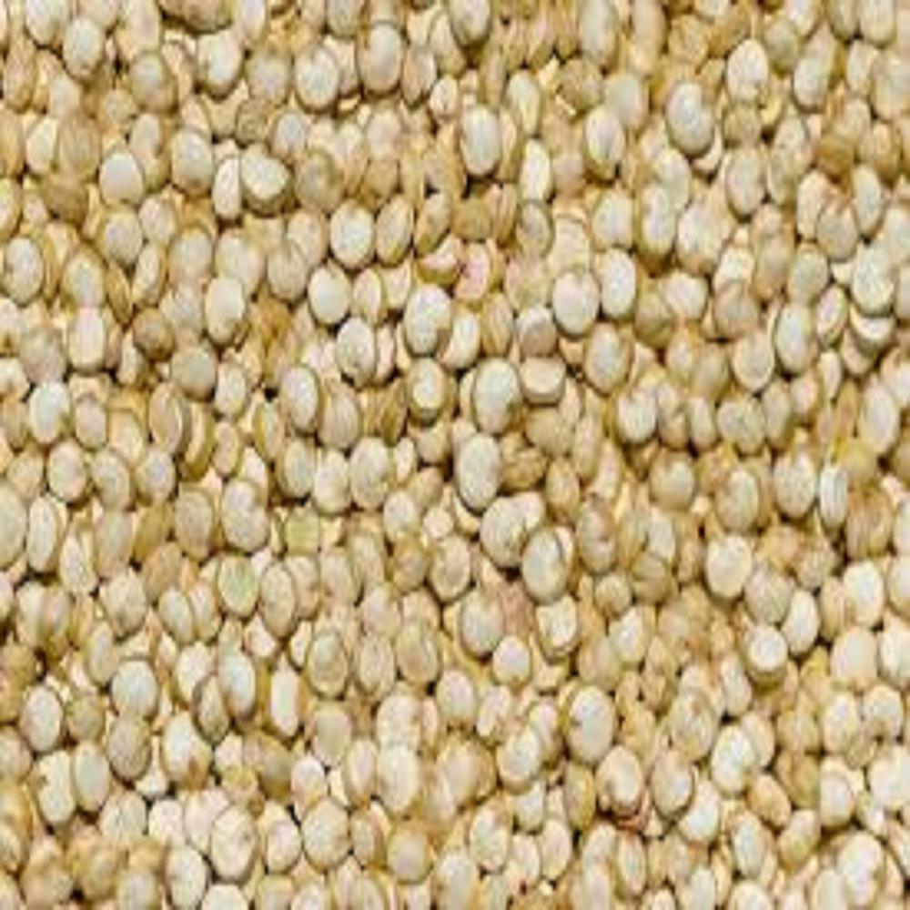 Quinoa protein