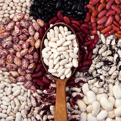  Black bean protein
