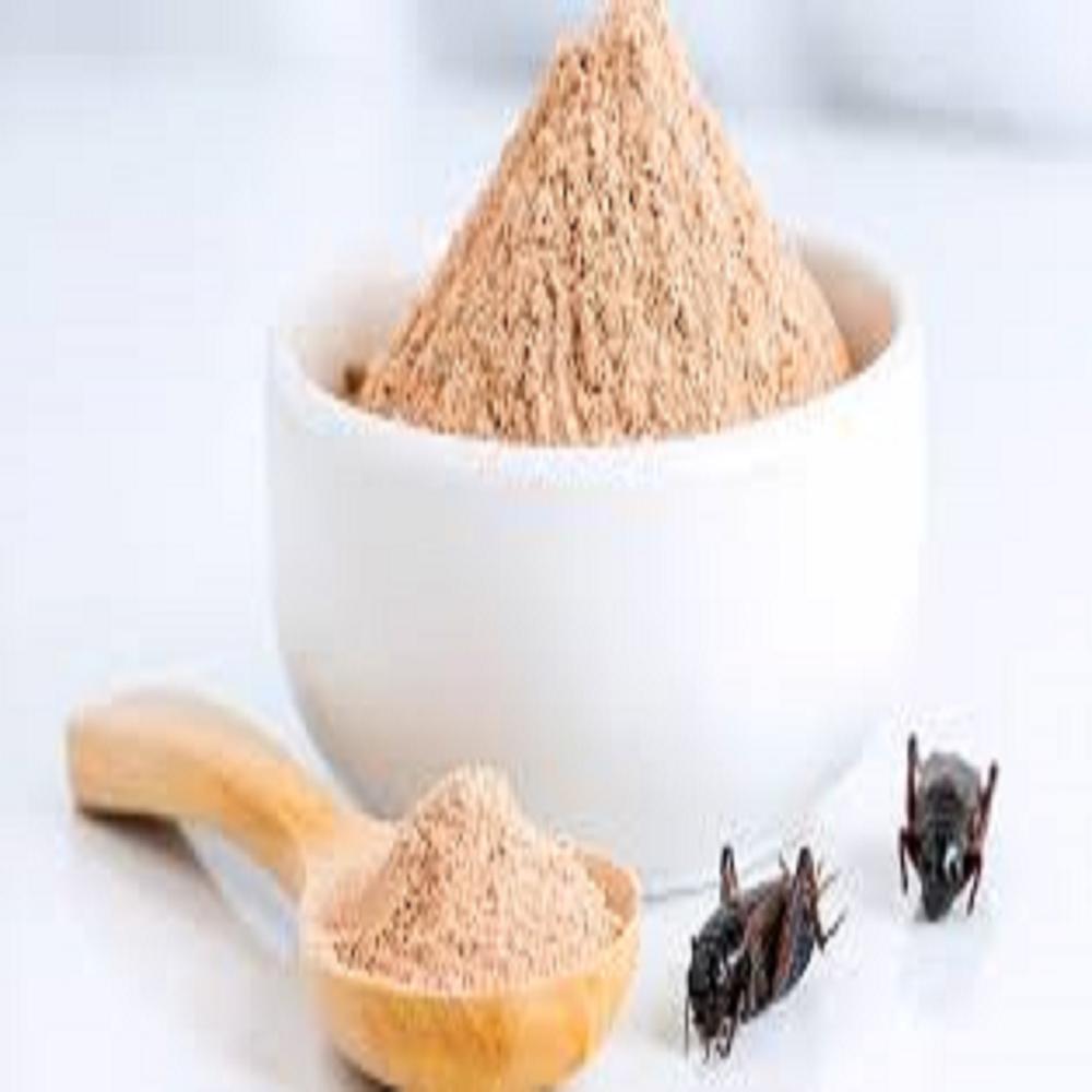 Cricket protein powder