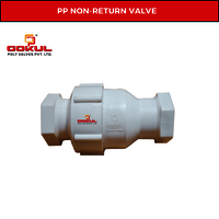 Gokul PP Foot Valve Threaded