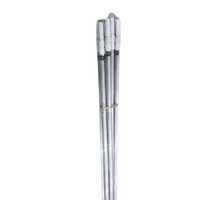 Swimming Pool Telescopic Pole - Color: White