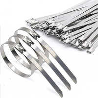 Stainless Steel Cable Tie