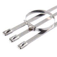 Stainless Steel Cable Tie