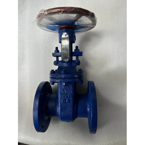 Cast Iron Gate Valve