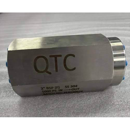 Cast Iron Check Valve