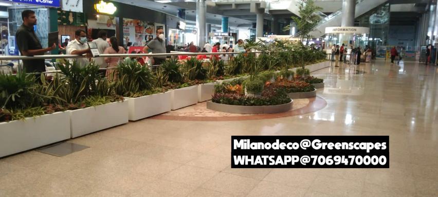 आयताकार पौधों का बर्तन BP-5