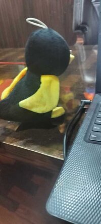 BIRDS SOFT TOYS