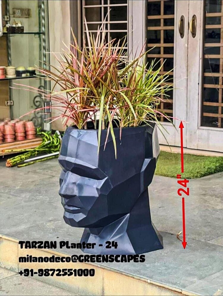 Tarzen चेहरे का पौधा लगाने वाला