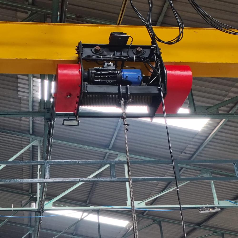 Rope Hoists - Power Source: Electric