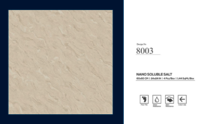 600 X 600 NANO TILES