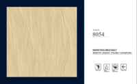 600 X 600 NANO VITRIFIED TILES