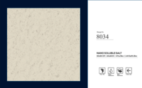 600 X 600 NANO VITRIFIED TILES