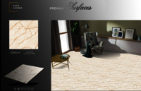 600 X 600 GLAZED PORCELAIN CARVING TILES