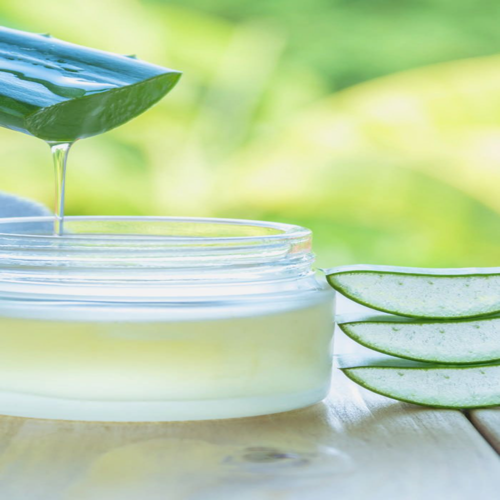 Aloe Vera Liquid Extract - Ph Level: 4-7