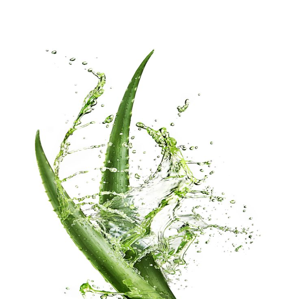 Aloe Vera Liquid Extract