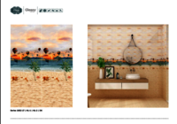 250 X 375 DESIGNER PORCELIAN WALL TILES