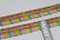 Multi Colour Jhalar Lace