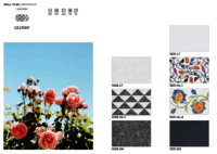 250 X 375 CERAMIC GLOSSY WALL TILES