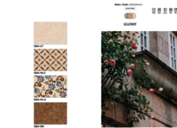 250 X 375 CERAMIC GLOSSY WALL TILES