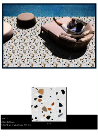 300 X 300 PARKING TERRACOZZO  FLOOR TILES
