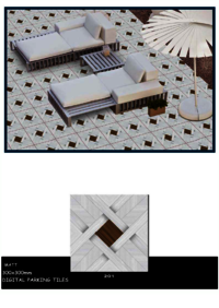 300 X 300 PARKING TERRACOZZO  FLOOR TILES