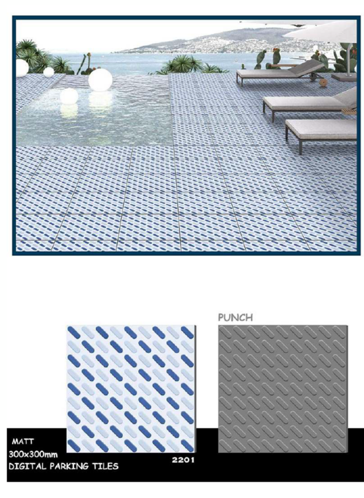 300 X 300 CARGE FORMAT PORCELAIN FLOOR TILES