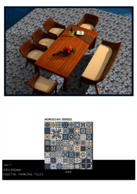 300 X 300 MOROCCAN FLOOR TILES