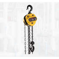 Light Duty Manual Chain Pulley Block