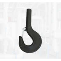 C Type Hook
