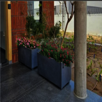 ROXY PLANTER
