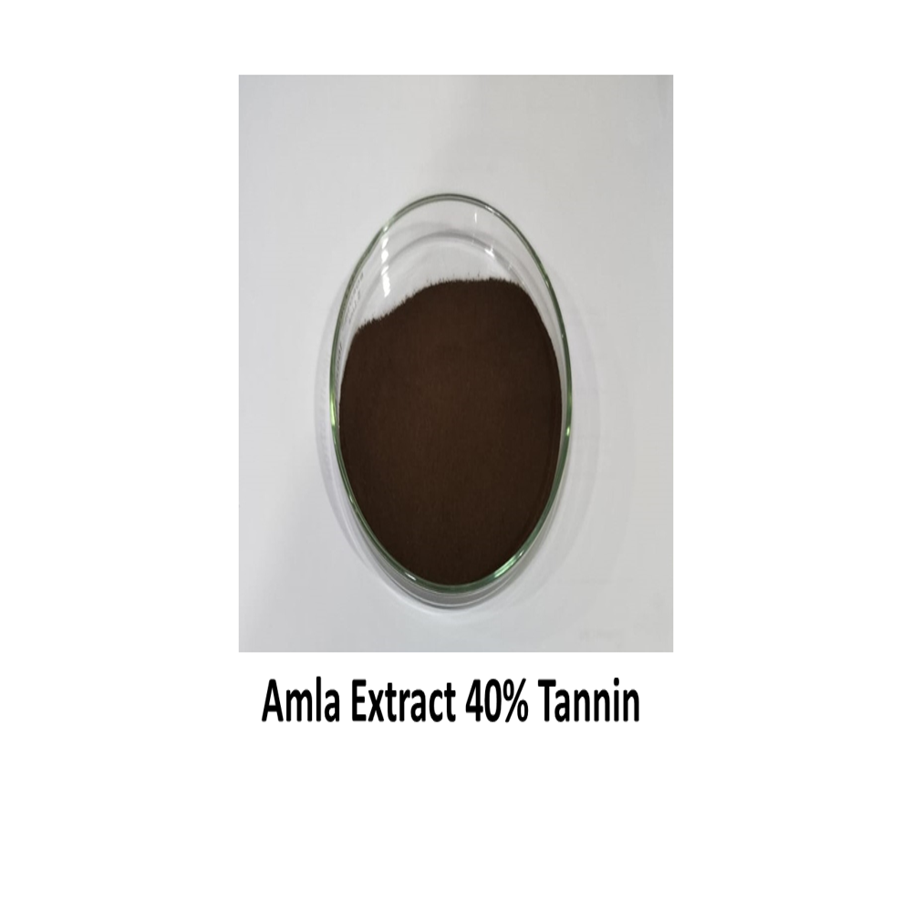 Amla Extract Powder