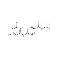 N (TERT BUTYL) 4 (4,6 DICHLORO 1,3,5 TRIAZIN 2 Y1)AMINOJBENZAMIDE