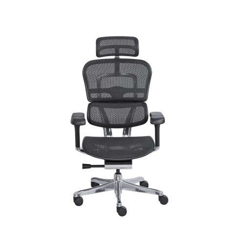 Pride Mesh Chair