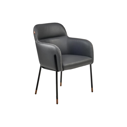 Adaptive 22 Cafe And Dining Chair