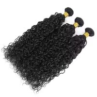 Water Wave Human Hair Bundles Unprocessed Brazilian Virgin Hair Bundles Natural Color Human Hair Extension
