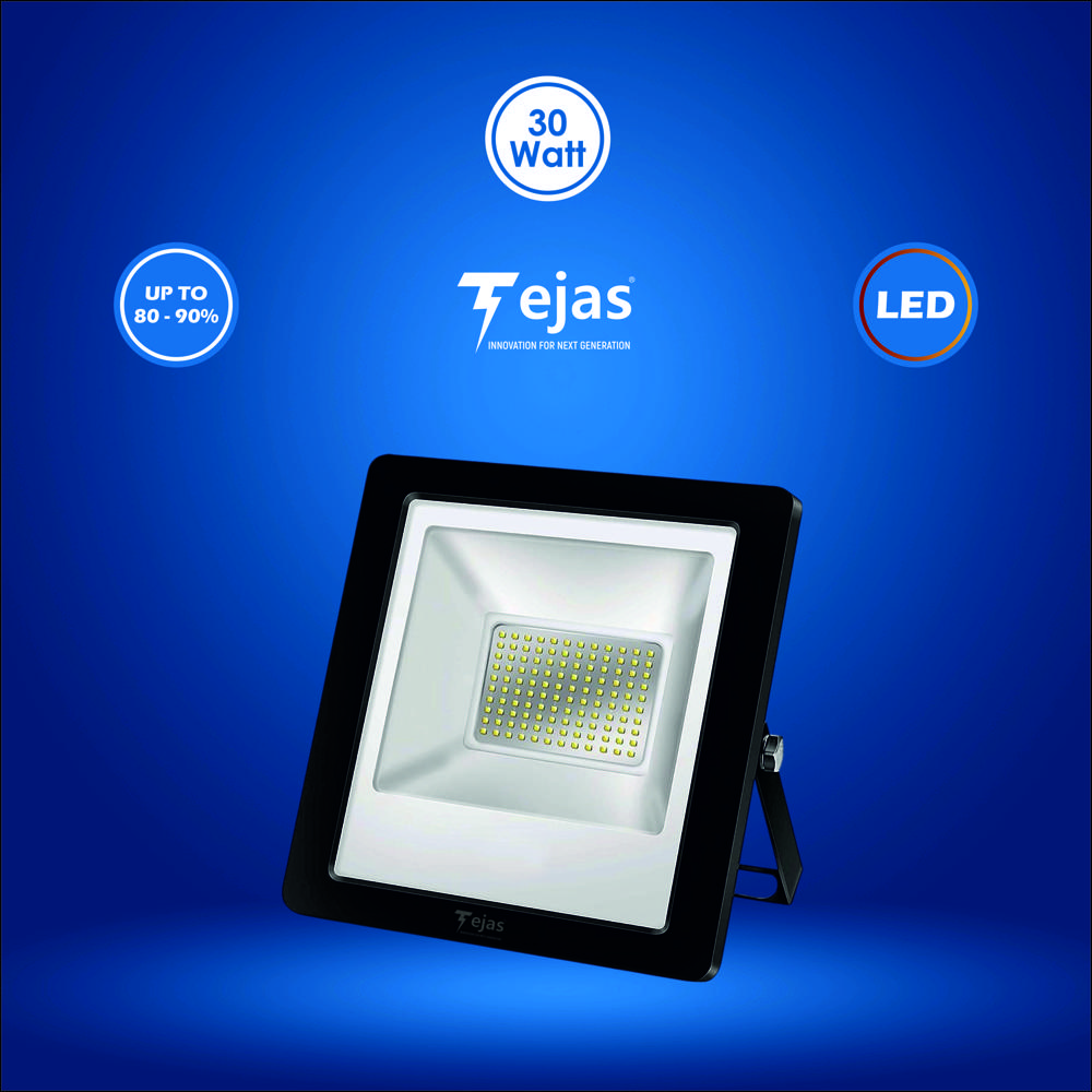 30W Flood Light