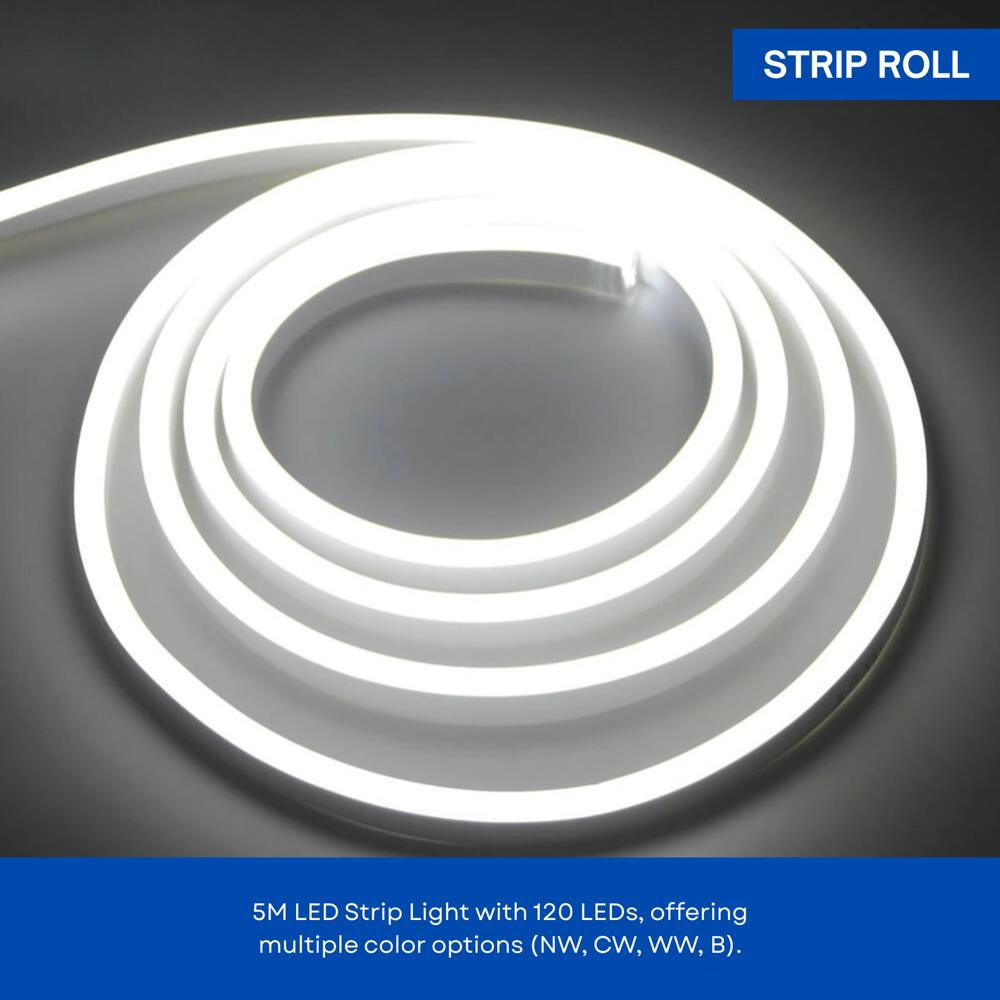 Strip L. Roll (5m) Ww (240led) - Features: Good Quality