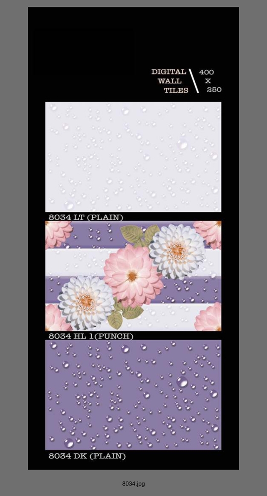 250 X 400 GLOSSY WALL TILES
