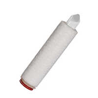 PTFE Pleated Filter Cartridge