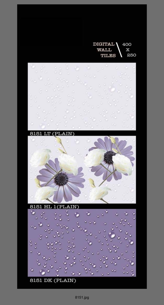 250 X 400 Digital Ceramic Wall Tiles - Surface Materials: Polished Finish