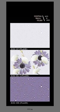 250 X 400 DIGITAL CERAMIC WALL TILES