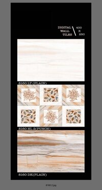 250 X 400 DIGITAL CERAMIC WALL TILES