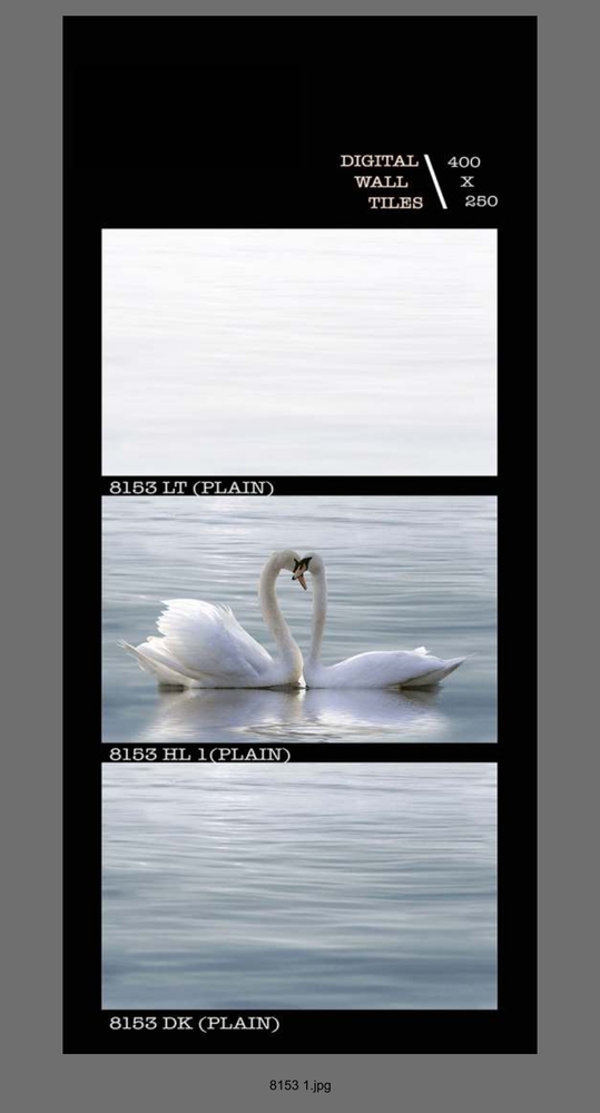 250 X 400 Digital Ceramic Wall Tiles - Surface Materials: Polished Finish