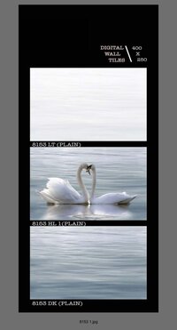 250 X 400 DIGITAL CERAMIC WALL TILES